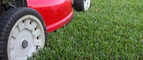 How To Mow Your Lawn 1