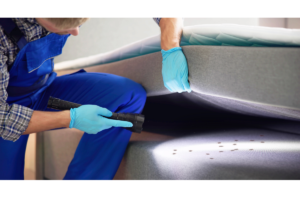 bed bug exterminator