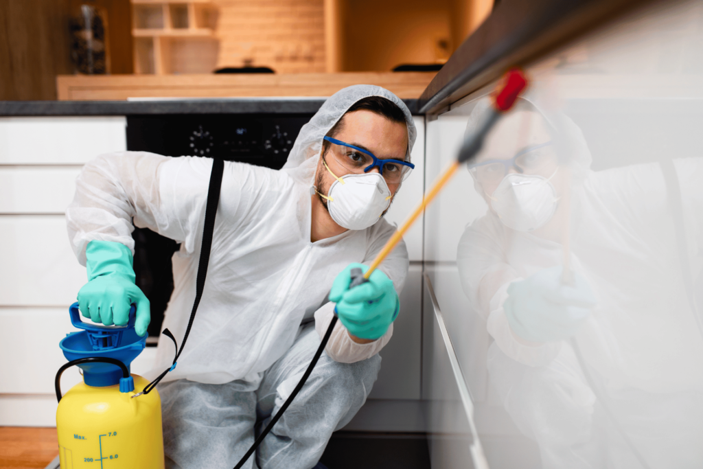pest best control near me