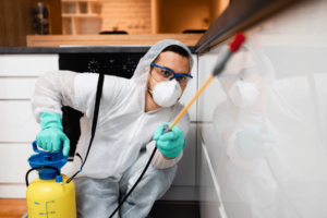 pest best control near me