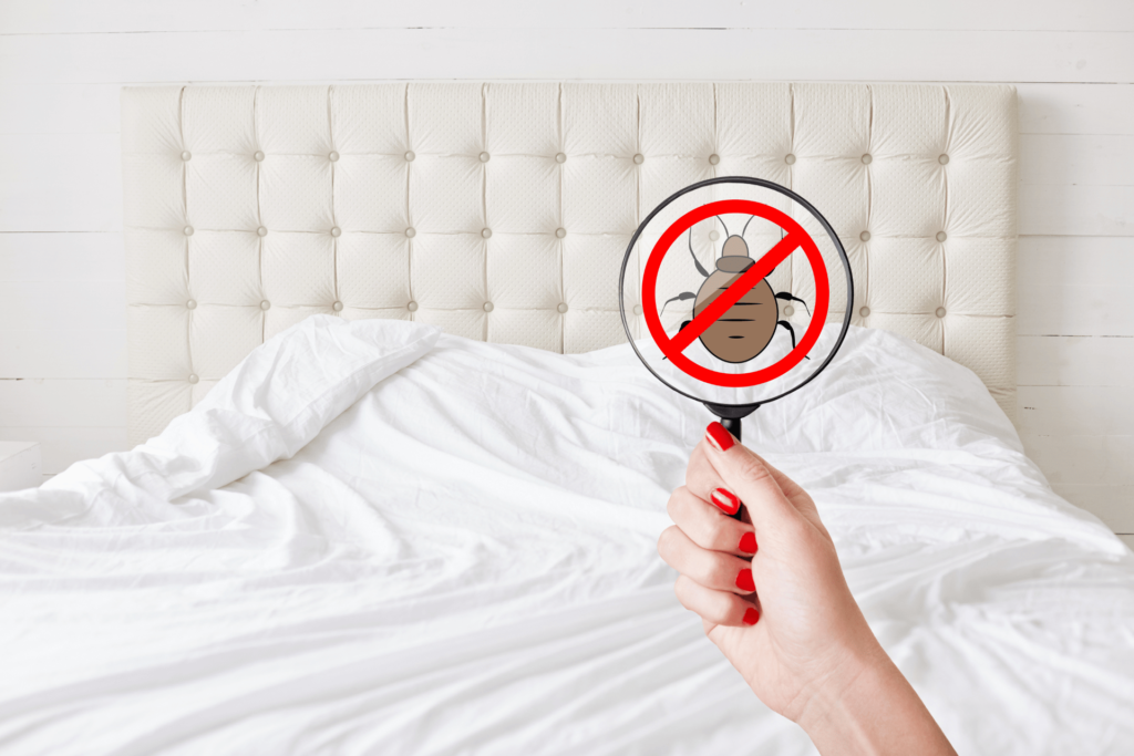 pest control near me bed bugs