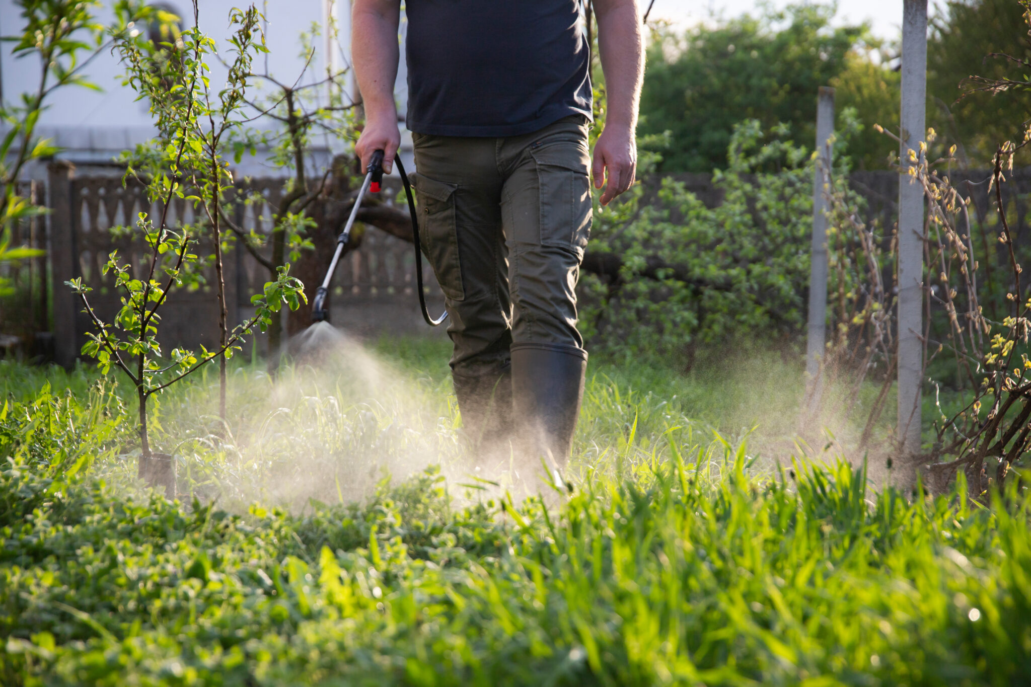 seymour mo pest control