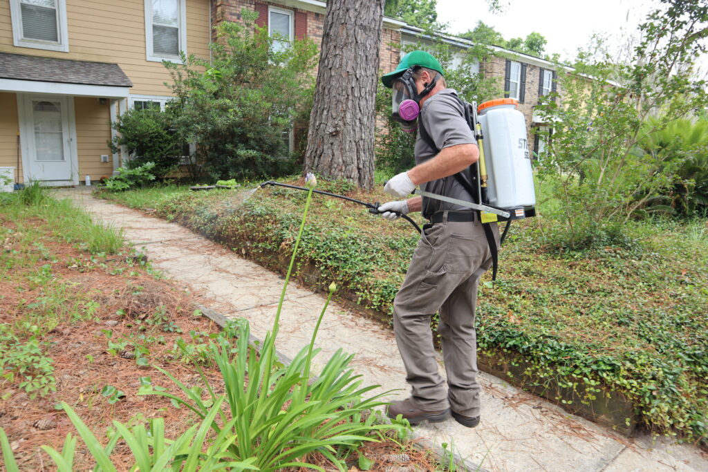 pest control near me